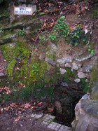 LA FONT DELS POLLETONS