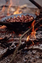 Fira de la Castanaya