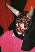 Festes de Sant Antoni de Sa Pobla