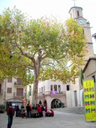 Activitat econòmica d'Arbúcies