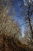 Espai d'Interès Natural (EIN) del Massís de les Salines, a Maçanet de Cabrenys