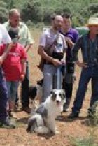 Espurna, la gossa d'atura campiona 