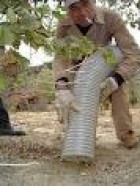 L'activitat econòmica a Benassal