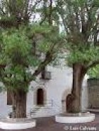 L'Avellà , un raconet màgic prop de Catí