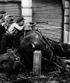 Julian Centelles Guarch, heroi de la lluita antifeixista de Portell