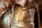 Coves de Campanet (web oficial de Coves de Campanet)