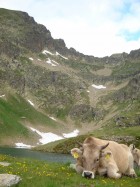 Activitat econòmica d'Estamariu