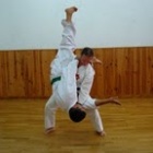 Mostra de l'Escola de Karate