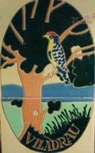 Etimologia del nom de Viladrau i Gentilici