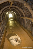 Activitat econòmica d'Ogassa