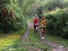 Rutes a peu per l'Alcora 2012